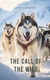 Call of the Wild - Jack London - audiobook