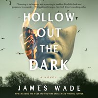 Hollow Out the Dark - James Wade - audiobook