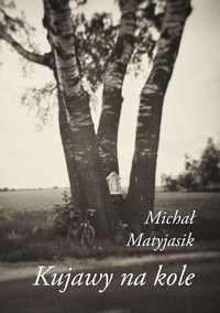 Kujawy na kole - Michał Matyjasik - ebook