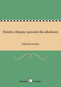 Dzielny chłopiec: powieść dla młodzieży - Zofia Kowerska - ebook