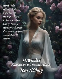 Powieści Józefa Ignacego Kraszewskiego. Tom 7 - Józef Ignacy Kraszewski - ebook