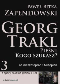 Kogo szukasz - Paweł Bitka Zapendowski - ebook
