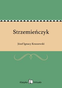 Strzemieńczyk - Józef Ignacy Kraszewski - ebook