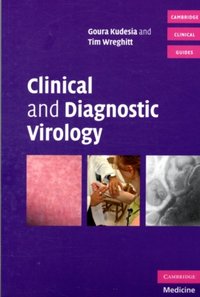Clinical and Diagnostic Virology [DRM] - Goura Kudesia - ebook