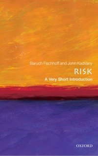 Risk [DRM] - John Kadvany - ebook