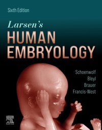 Larsen's Human Embryology E-Book [DRM] - Steven B. Bleyl - ebook