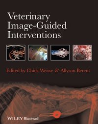 Veterinary Image-Guided Interventions [DRM] - Chick Weisse - ebook
