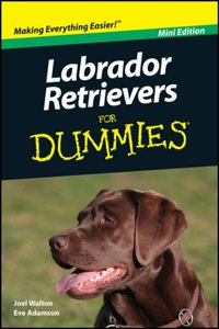 Labrador Retrievers For Dummies, Mini Edition [DRM] - Eve Adamson - ebook