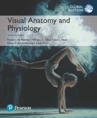 Visual Anatomy & Physiology, Global Edition [DRM] - Frederic H. Martini - ebook