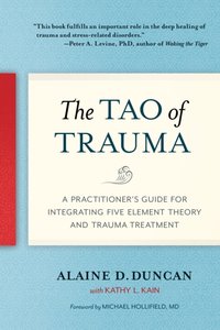 Tao of Trauma [DRM] - M.D. Michael Hollifield - ebook