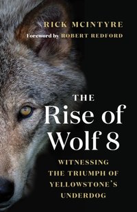 Rise of Wolf 8 [DRM] - Robert Redford - ebook
