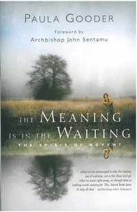Meaning is in the Waiting [DRM] - Paula Gooder - ebook