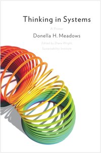 Thinking in Systems [DRM] - Diana Wright - ebook