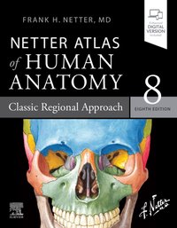 Netter Atlas of Human Anatomy: Classic Regional Approach - Ebook [DRM] - Frank H. Netter - ebook