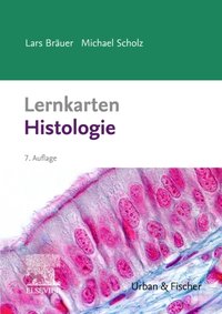 Lernkarten Histologie [DRM] - Michael Scholz - ebook