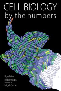 Cell Biology by the Numbers [DRM] - Rob Phillips - ebook