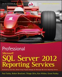 Professional Microsoft SQL Server 2012 Reporting Services [DRM] - Robert M. Bruckner - ebook