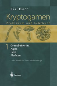 Kryptogamen 1 [DRM] - Karl Esser - ebook