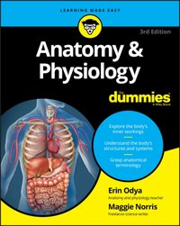 Anatomy & Physiology For Dummies [DRM] - Maggie A. Norris - ebook