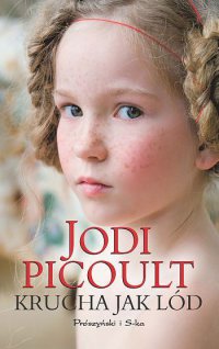 Krucha jak lód - Jodi Picoult - ebook