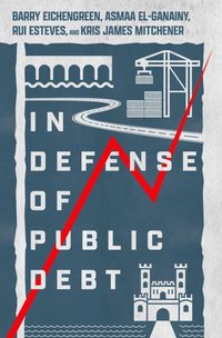 In Defense of Public Debt [DRM] - Asmaa El-Ganainy - ebook