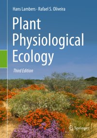 Plant Physiological Ecology [DRM] - Hans Lambers - ebook