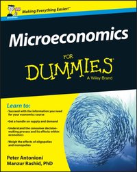 Microeconomics For Dummies, UK Edition [DRM] - Peter Antonioni - ebook