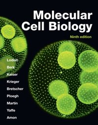Molecular Cell Biology  [DRM] - Harvey Lodish - ebook