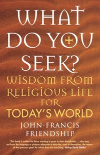 What Do You Seek? [DRM] - John-Francis Friendship - ebook
