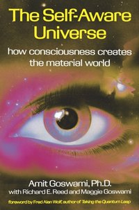 Self-Aware Universe [DRM] - Amit Goswami - ebook