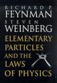 Elementary Particles and the Laws of Physics [DRM] - Steven Weinberg - ebook