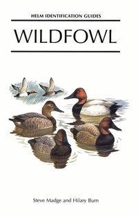 Wildfowl [DRM] - Hilary Burn - ebook