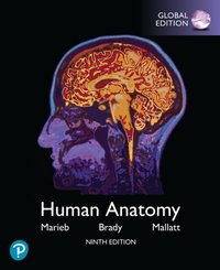 Human Anatomy, Global Edition [DRM] - Jon B. Mallatt - ebook