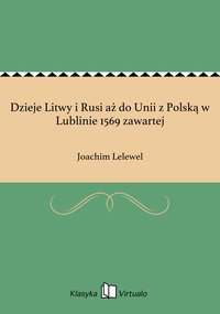 Dzieje Litwy i Rusi aż do Unii z Polską w Lublinie 1569 zawartej - Joachim Lelewel - ebook