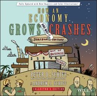 How an Economy Grows and Why It Crashes [DRM] - Andrew J. Schiff - ebook