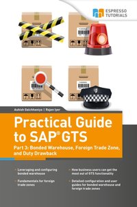 Practical Guide to SAP GTS Part 3 [DRM] - Ashish Galchhaniya - ebook