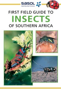 Sasol First Field Guide to Insects of Southern Africa [DRM] - Alan Weaving - ebook