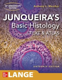 Junqueira's Basic Histology: Text and Atlas, Sixteenth Edition [DRM] - Anthony L. Mescher - ebook