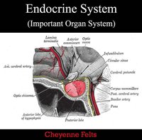 Endocrine System (Important Organ System) [DRM] - Cheyenne Felts - ebook