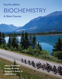 Biochemistry: A Short Course [DRM] - John L. Tymoczko - ebook