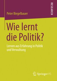 Wie lernt die Politik? [DRM] - Peter Biegelbauer - ebook