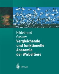 Vergleichende und funktionelle Anatomie der Wirbeltiere [DRM] - George Goslow - ebook