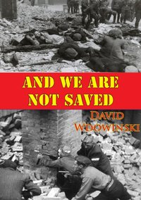 And We Are Not Saved [DRM] - David Wdowinski - ebook
