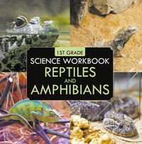 1st Grade Science Workbook: Reptiles and Amphibians [DRM] - Baby Professor - ebook