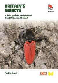 Britain's Insects [DRM] - Paul D. Brock - ebook