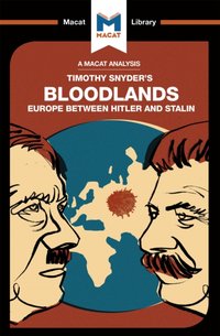 Analysis of Timothy Snyder's Bloodlands [DRM] - Helen Roche - ebook