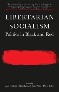 Libertarian Socialism [DRM] - Saku Pinta - ebook