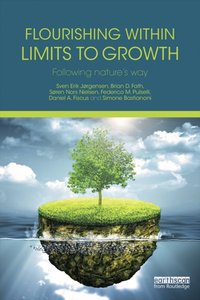 Flourishing Within Limits to Growth [DRM] - Simone Bastianoni - ebook