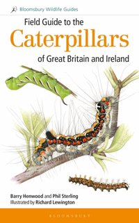 Field Guide to the Caterpillars of Great Britain and Ireland [DRM] - Phil Sterling - ebook