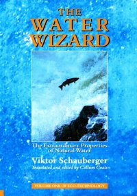 Water Wizard - The Extraordinary Properties of Natural Water [DRM] - Viktor Schauberger - ebook